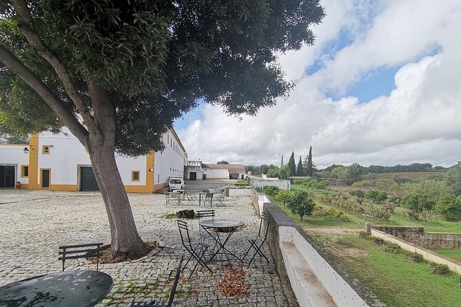 Private Tour to Evora with wine tasting at the Cartuxa Winery - Why Évora works so well as a day trip from Lisbon
