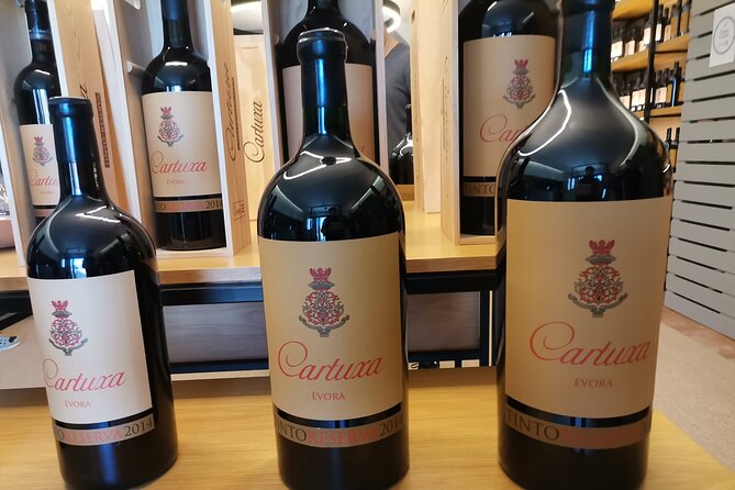 Private Tour to Evora with wine tasting at the Cartuxa Winery - Évora Cathedral, a serious medieval landmark