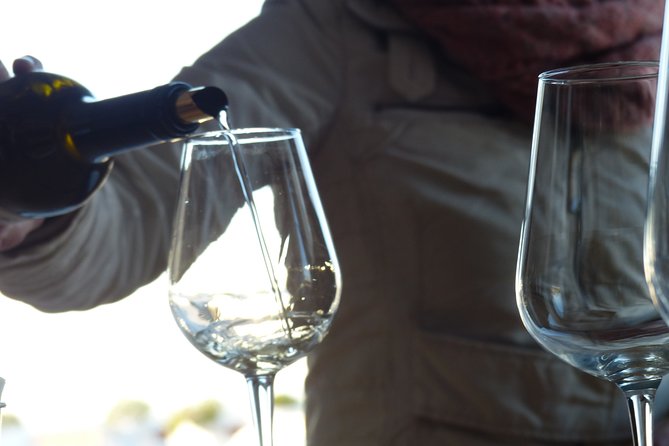 Private Tour to Evora with wine tasting at the Cartuxa Winery - What the private guide adds to the day