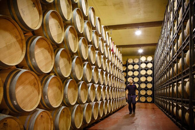 Private tour to La Rioja : Visit 2 premium wineries with lunch - Key points to know before booking