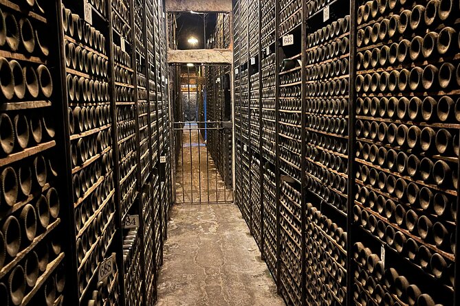 Private tour to La Rioja : Visit 2 premium wineries with lunch - Eight tastings, snacks, and a pintxos lunch