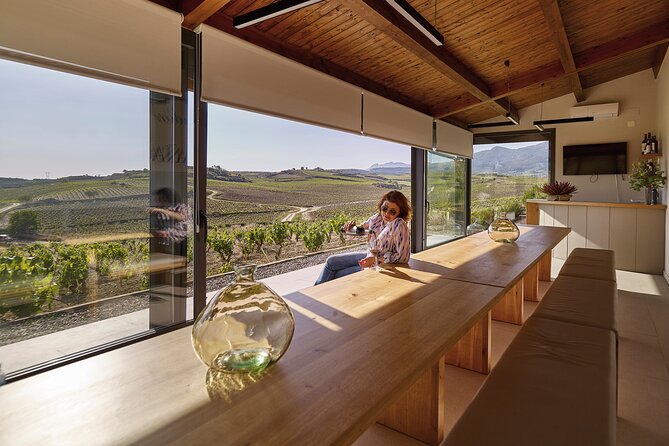 Private tour to La Rioja : Visit 2 premium wineries with lunch - What is not included