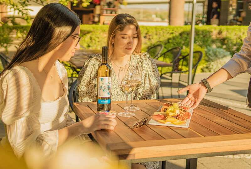 Private tour to Peña de Bernal & Freixenet Winery from CDMX - The guide can make or break the middle of the day