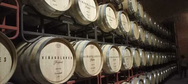 Private tour to Peña de Bernal & Freixenet Winery from CDMX - Bernal mixes small-town charm with a scheduling risk
