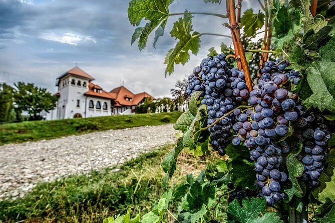 Private Tour to Salt Mine, Lunch at Winery and Dracula Grave - The real cost and value at $167.75