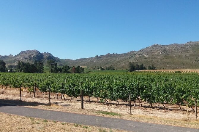 Private Tour To Stellenbosch Franschoek Wineries from Cape Town Price Per Group - Dieu Donné and the Franschhoek mountain views