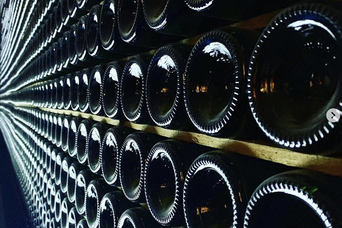Private Tour: Top Three Organic Wineries & Local Lunch Included - Why Penedès makes a worthwhile day outside Barcelona