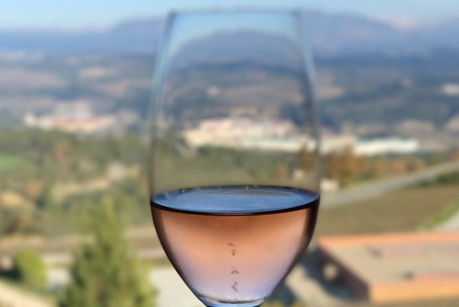 Private Tour: Top Three Organic Wineries & Local Lunch Included - What the private format changes