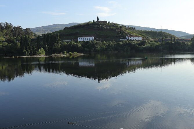 Private tour with 2 wineries and typical harmonized lunch - The first family winery near Peso da Régua