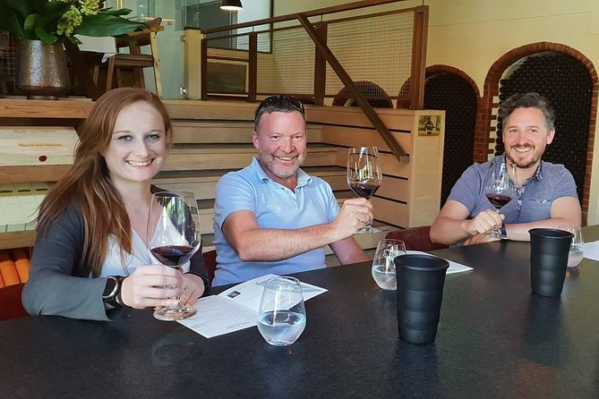 Private Tour with Wine Expert to Cape of Good Hope & Constantia Wine Region - Three hours around the Cape of Good Hope