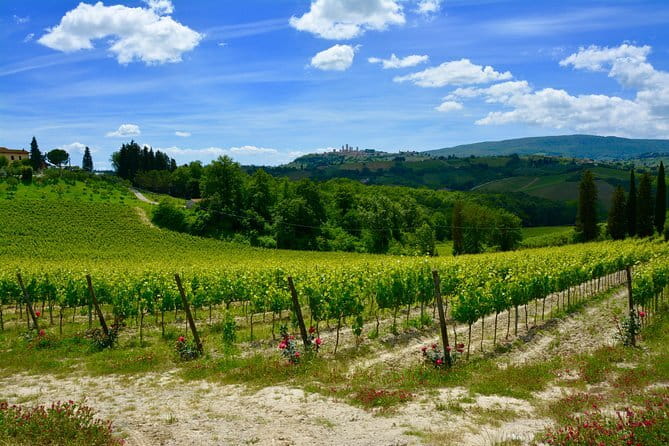 Private Tuscany Day Tour: San Gimignano and Chianti Wine Region from Florence - A quick stop at Piazzale Michelangelo