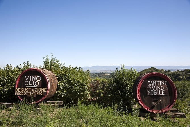 Private Tuscany Day Tour: San Gimignano and Chianti Wine Region from Florence - What to confirm before you go