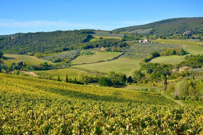 Private Tuscany Day Tour: Siena and Chianti Wine Region from Florence - Leaving Florence in a private minivan