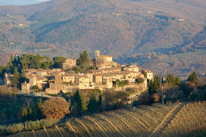 Private Tuscany Excursion. Florence American Cemetery, Greve in Chianti, Winery - FAQ