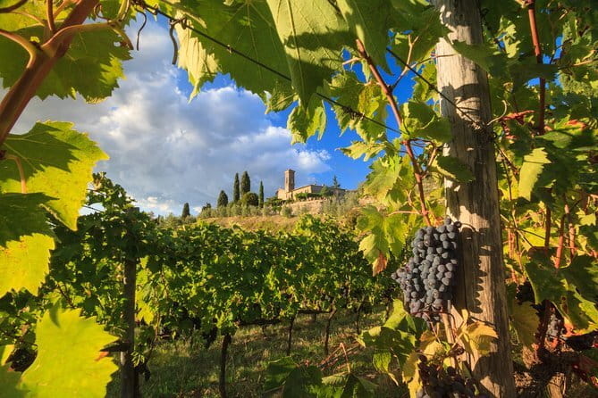Private Tuscany Tour from Florence Including Siena, San Gimignano and Chianti Wine Region - A Private Route Through Tuscany’s Best-Known Towns