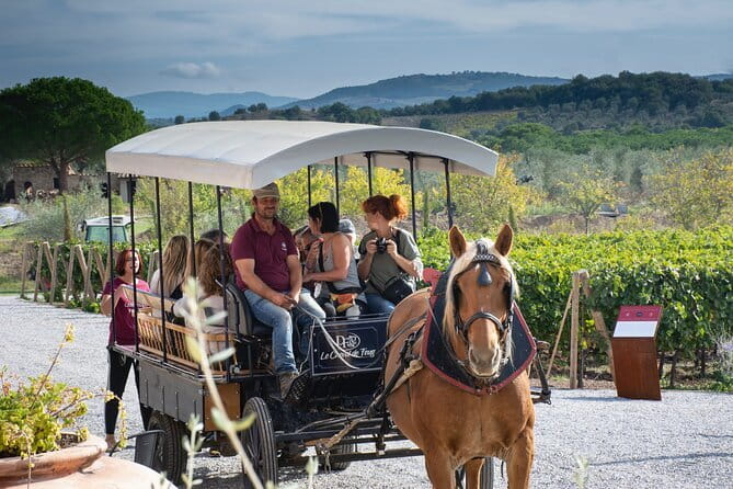 Private Tuscany Tour from Florence Including Siena, San Gimignano and Chianti Wine Region - Who Will Get the Most From This Tour