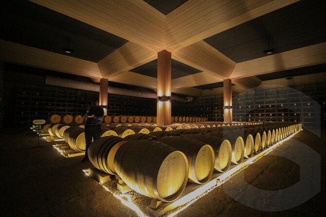Private Vineyard and Wine Testing Tour From Guanajuato - What the $103.66 Price Really Covers