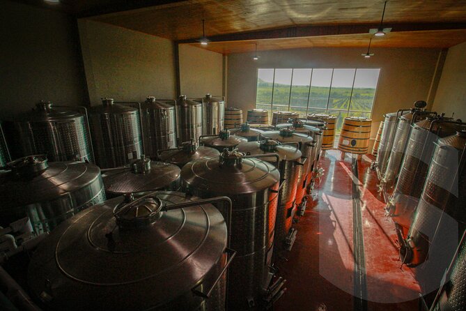 Private Vineyard and Wine Testing Tour From Guanajuato - Tres Raíces: More Time Among the Vines