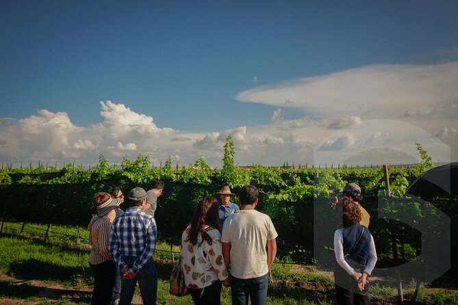 Private Vineyard and Wine Testing Tour From Guanajuato - Atotonilco’s Painted Sanctuary