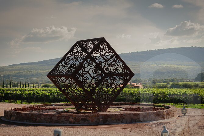 Private Vineyard and Wine Testing Tour From Guanajuato - Private Transport and the Pace of the Day