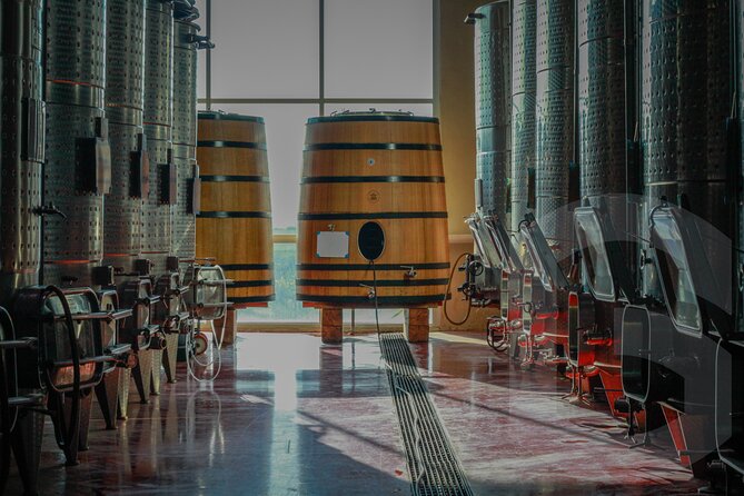 Private Vineyard and Wine Testing Tour From Guanajuato - Who Will Get the Most From This Tour
