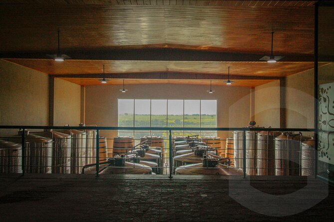 Private Vineyard and Wine Testing Tour From Guanajuato - Booking Timing, Weather, and Cancellation