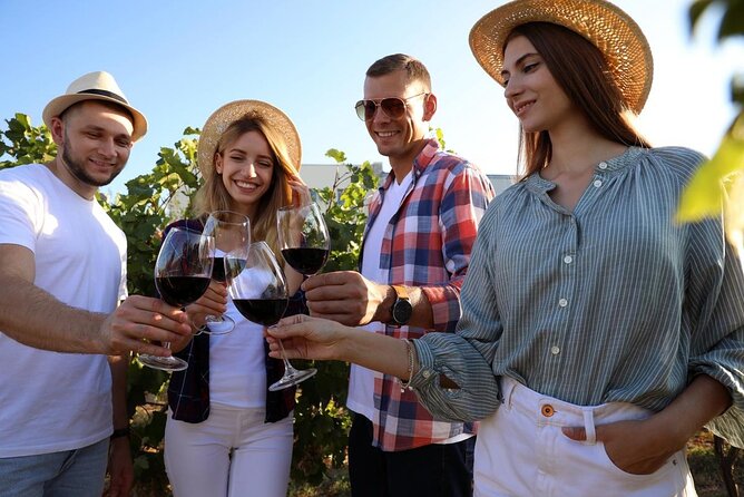 Private Vineyard Tour with Dinner Under the Stars in Karnas - Who will enjoy this private vineyard dinner