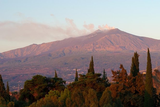 Private visit to the cellars of Etna with wine tasting - Key points to know before booking