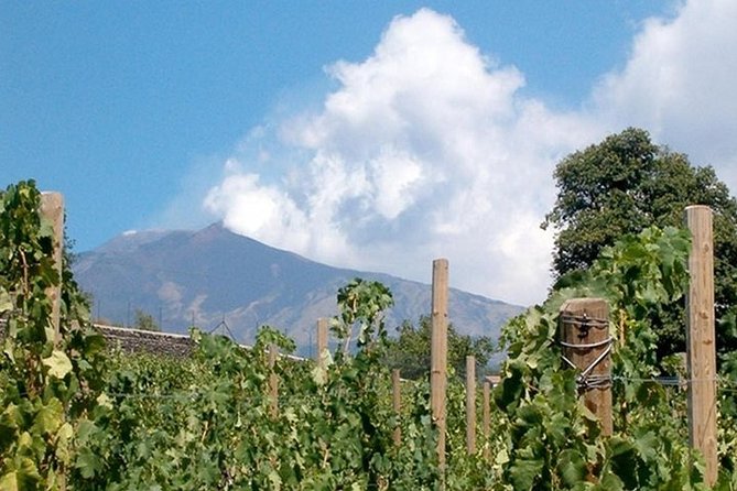 Private visit to the cellars of Etna with wine tasting - Why Etna wine makes this day different