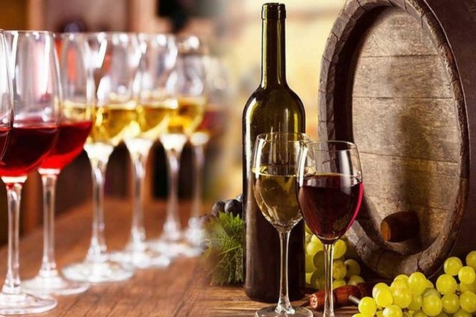 Private visit to the cellars of Etna with wine tasting - What the private format gives you