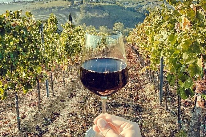 Private visit to the cellars of Etna with wine tasting - Food, wine, and the pace of the day