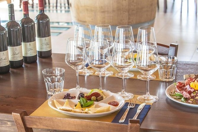 Private visit to the cellars of Etna with wine tasting - Who should book this Etna wine day