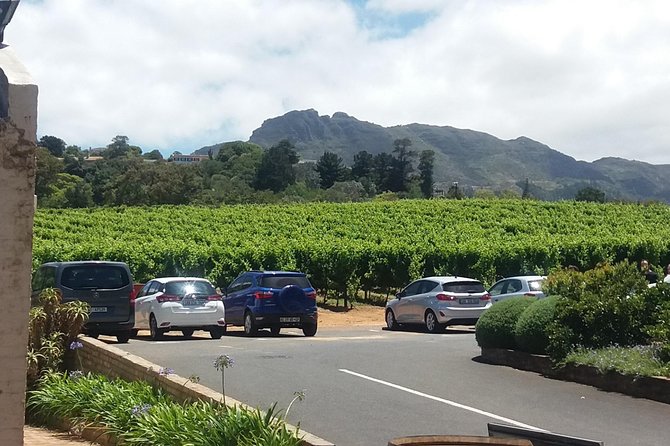 Private Visit to the Wineries Stellenbosch Franschoek from Cape Town Full Day - A wine-country day with more than wine