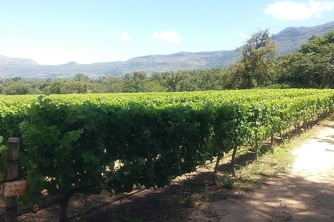 Private Visit to the Wineries Stellenbosch Franschoek from Cape Town Full Day - Groot Drakenstein Prison and Mandela’s release
