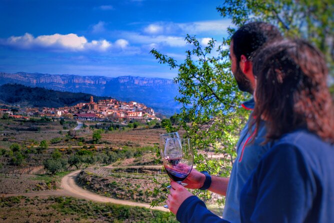 Private Wine and Oil Tour in the Priorat Wine Region - Key points at a glance