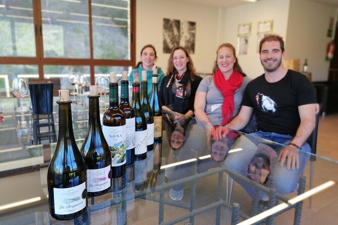 Private Wine and Oil Tour in the Priorat Wine Region - Montsant wine at a traditional cellar