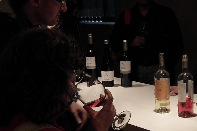 Private Wine and Oil Tour in the Priorat Wine Region - Lunch with organic olive oil and local food