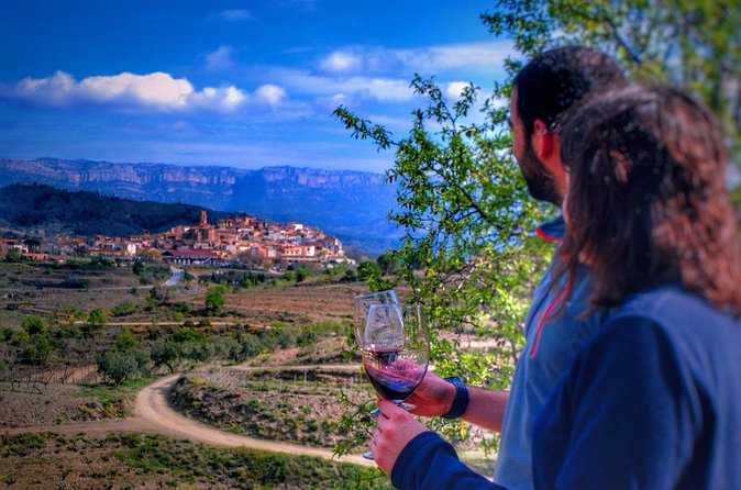 Private Wine and Oil Tour in the Priorat Wine Region - Wine among the vines at Celler Devinssi