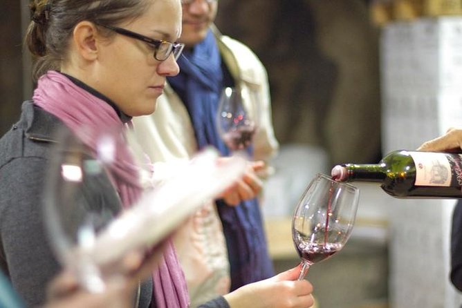 Private Wine and Oil Tour in the Priorat Wine Region - Guides who bring local character