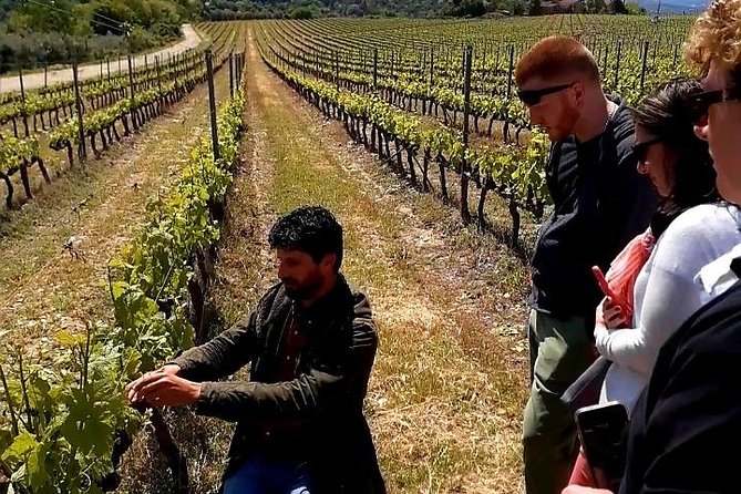Private Wine Safari! Off-Road, Lunch in Winery in Tuscany! - Who will enjoy this most?