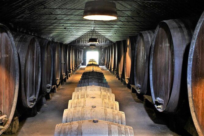 Private Wine Tasting in the Setúbal Wine Region, from Lisbon - Leaving Lisbon in a private car or van