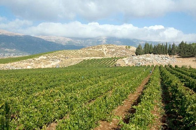 PRIVATE Wine Tasting Tour to the Bekaa Valey Fabulous Wineries - Dave may be the difference when plans change