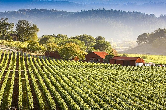 PRIVATE Wine Tasting Tour to the Bekaa Valey Fabulous Wineries - What the $113.34 price really covers
