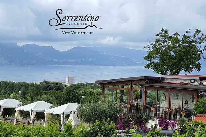 Private Wine Tour,lunch,8 wines, dedicated sommelier and trasport - Who will enjoy this most?