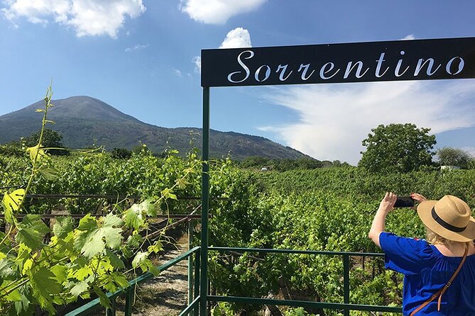 Private Wine Tour,lunch,8 wines, dedicated sommelier and trasport - The high platform is one of the day’s best stops