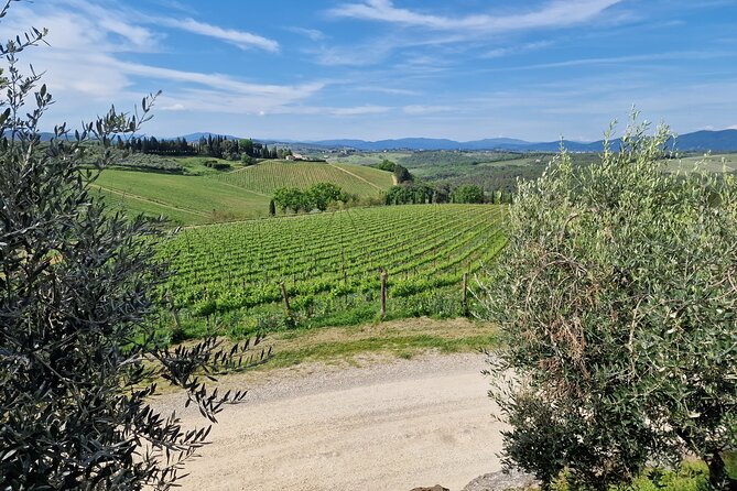 Private Wine Tour Top Wineries, Limousine Service, Florence Tours - A private route from Florence into Chianti