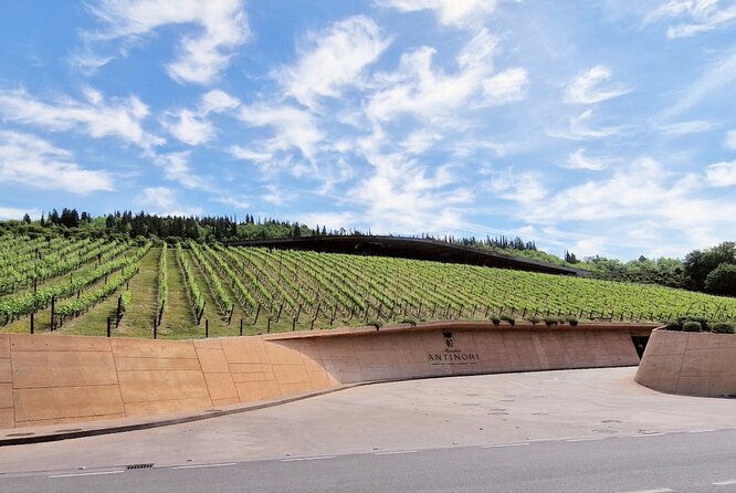 Private Wine Tour Top Wineries, Limousine Service, Florence Tours - What the $1,112.56 price really covers