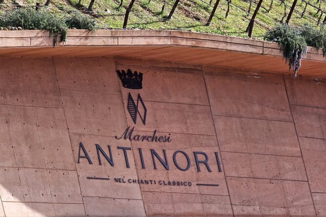 PRIVATE WINE TOUR TUSCANY Chianti Wineries, Expert English driver - Poggio Amorelli: the day’s main food and wine stop