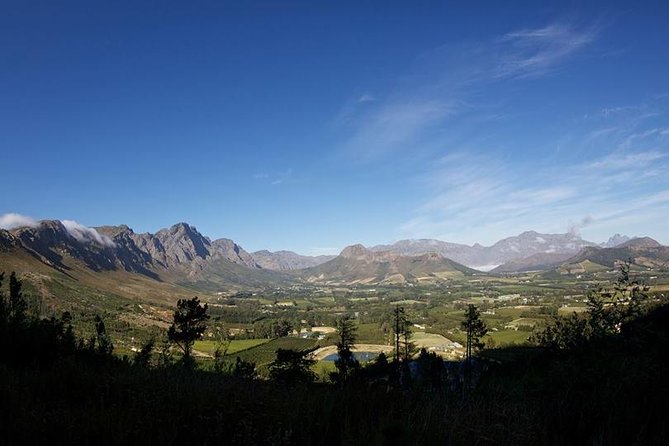 Private Wine Tour with Wine Expert to Stellenbosch-Franschhoek Wine Regions - Kanonkop: a stop for serious wine interest