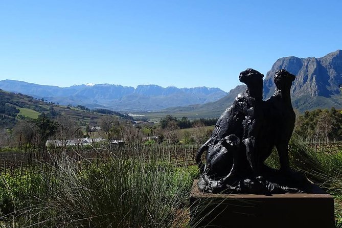 Private Wine Tour with Wine Expert to Stellenbosch-Franschhoek Wine Regions - Starting from Cape Town at 9:00 a.m.